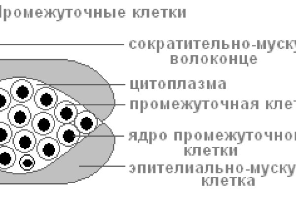 Даркнет площадки