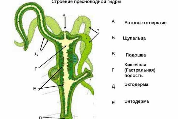 Ссылка на кракен официальный